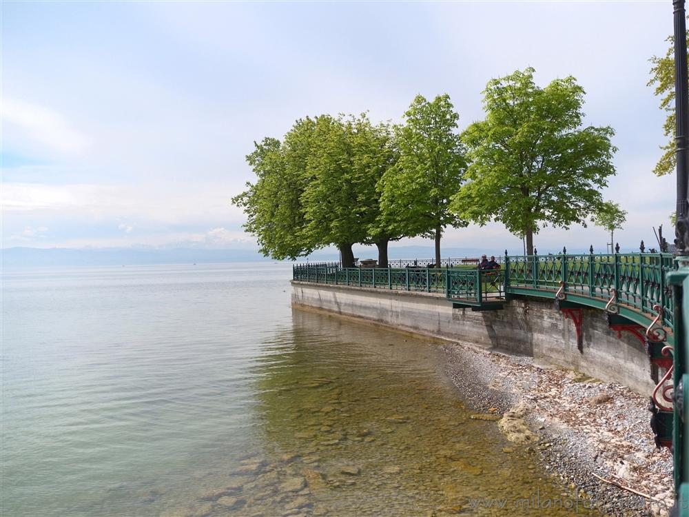 Friedrichshafen (Lake Constance, Germany) - Detail of the promenade of Lake Constance at Friedrichshafen